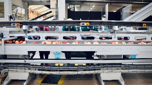 Microbial monitoring in food and beverage production